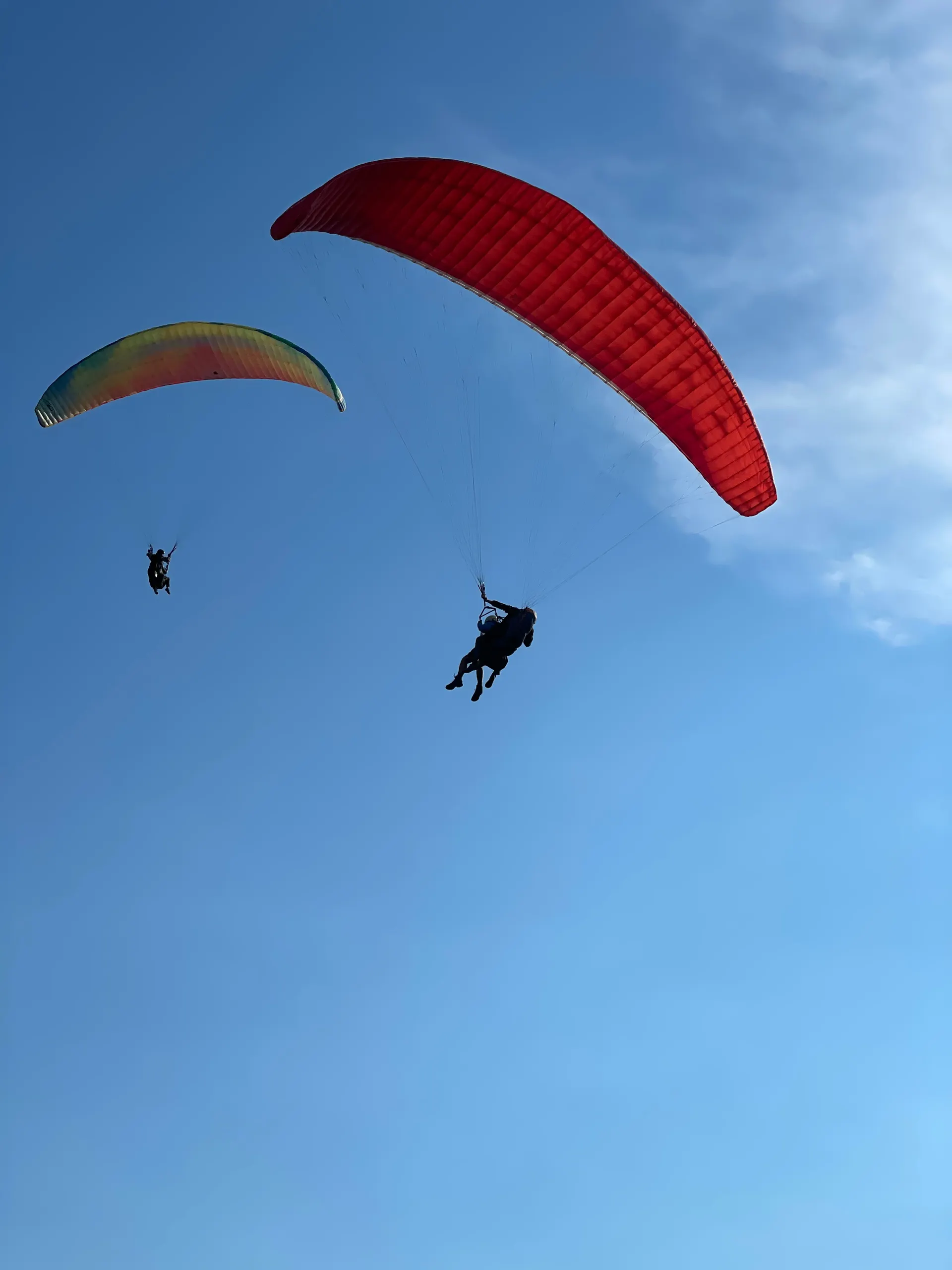 Paraglider soaring above the Soča Valley near Kobarid